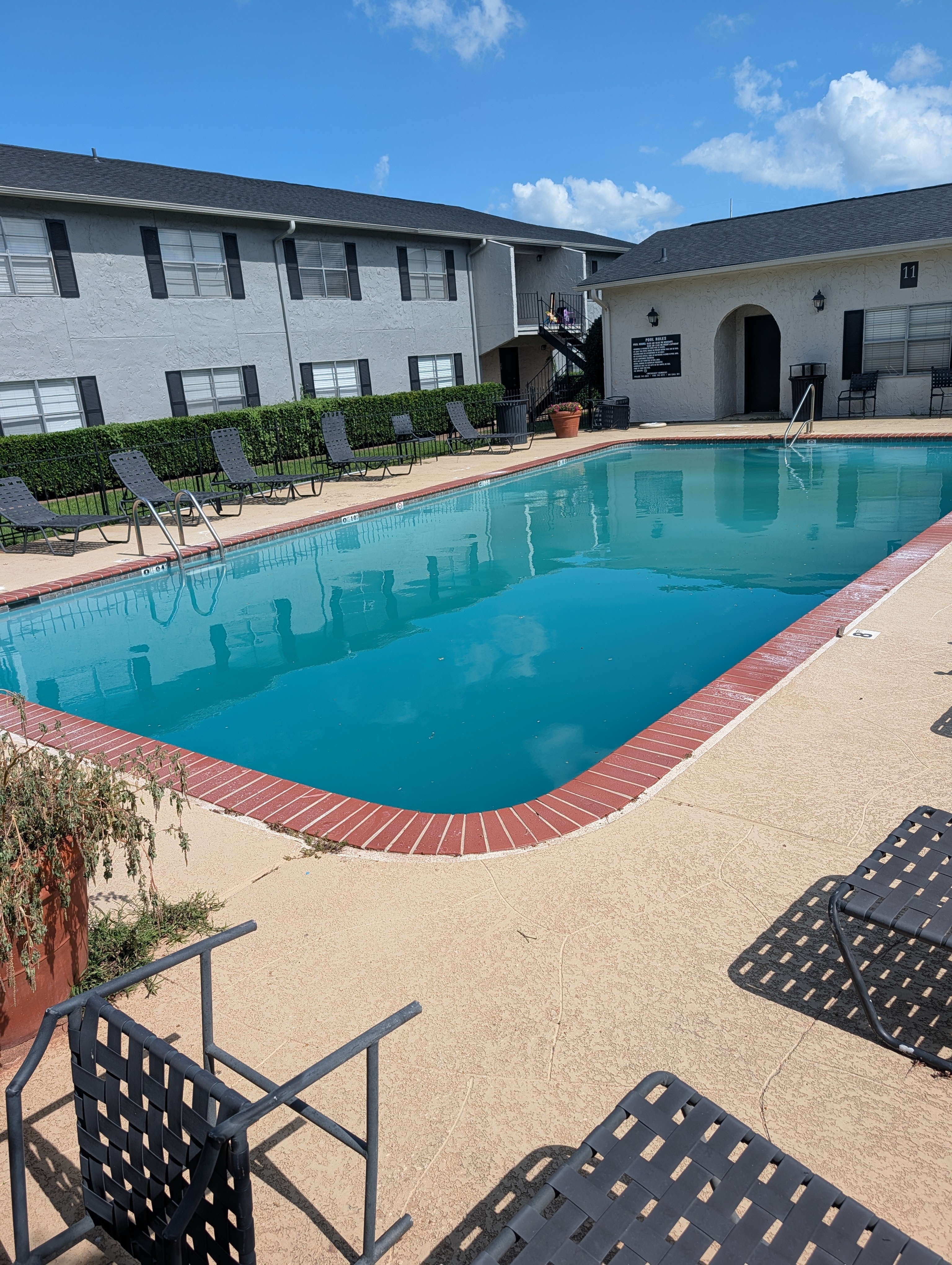 Turned a green neglected pool back to blue and swimmable in Bossier City
